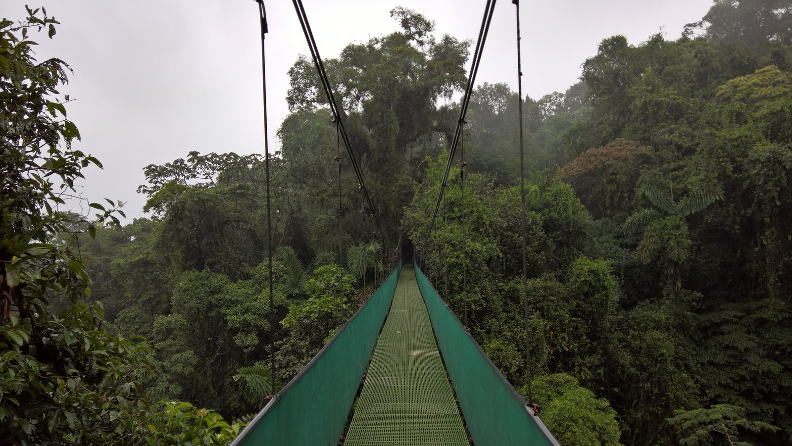 Hanging Bridges