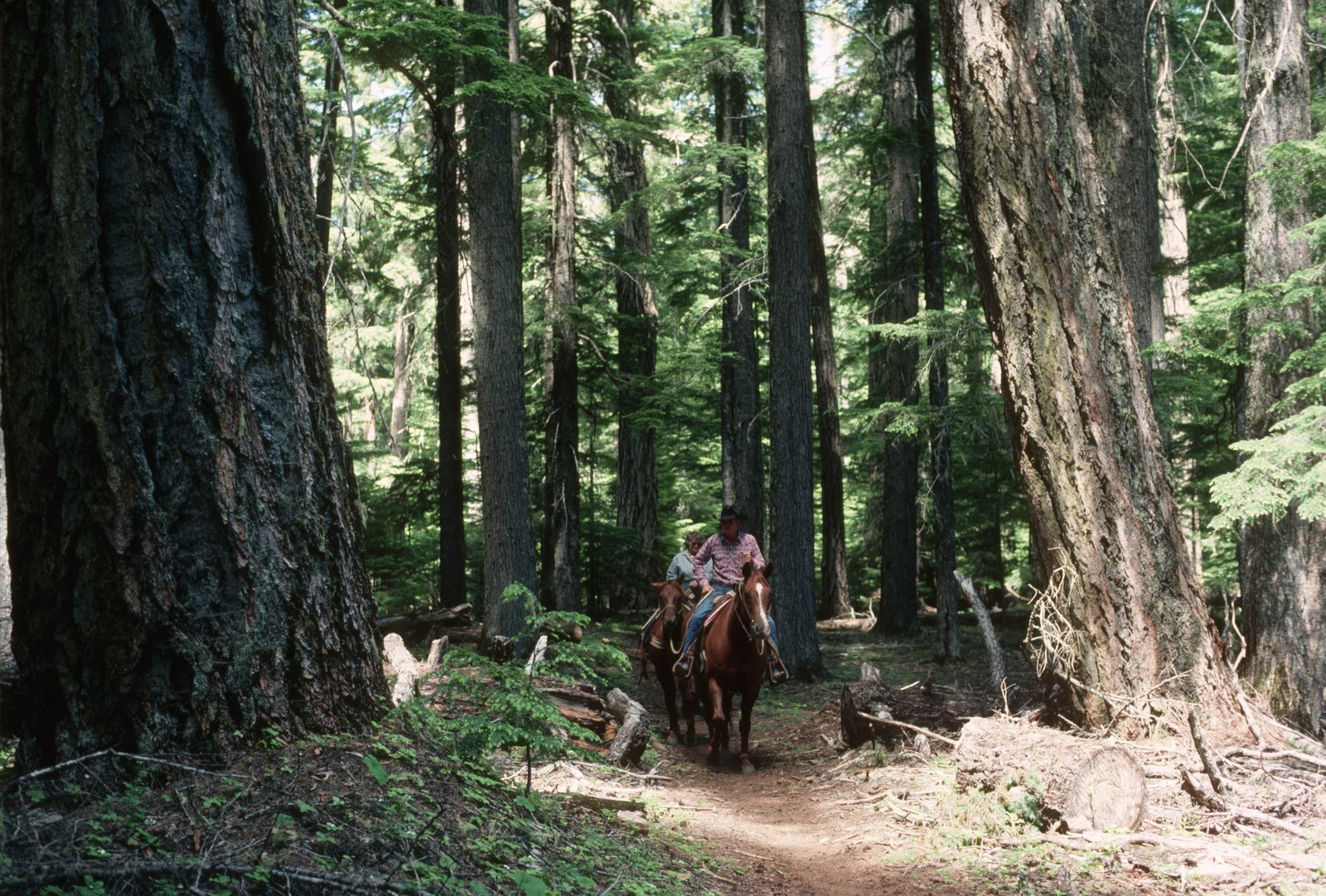 Horseback Riding
