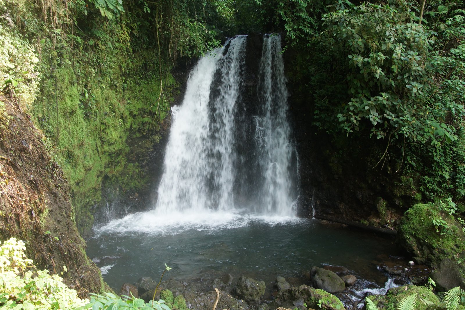 Río Celeste / Waterfalls