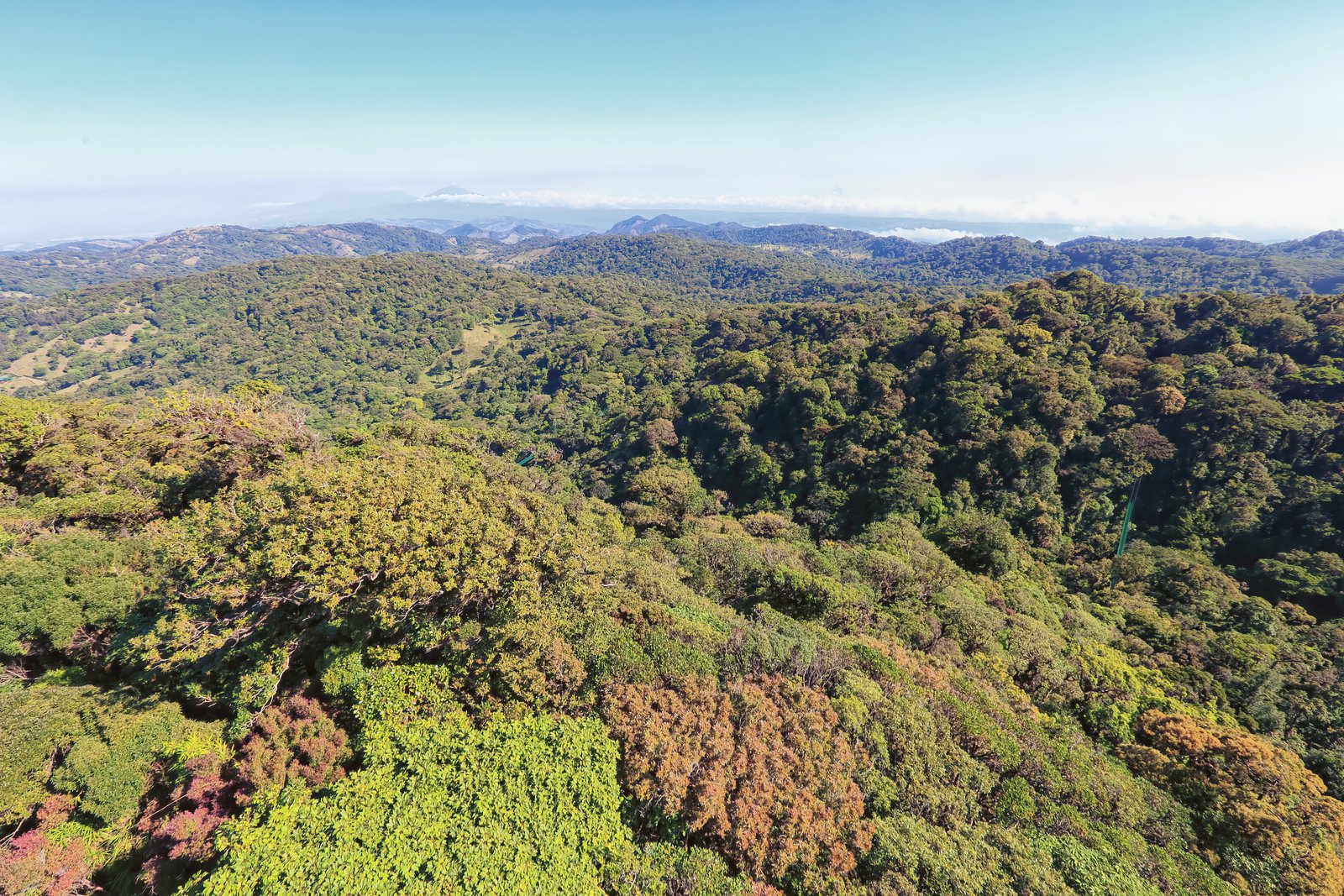 Cloud Forest & Rainforest