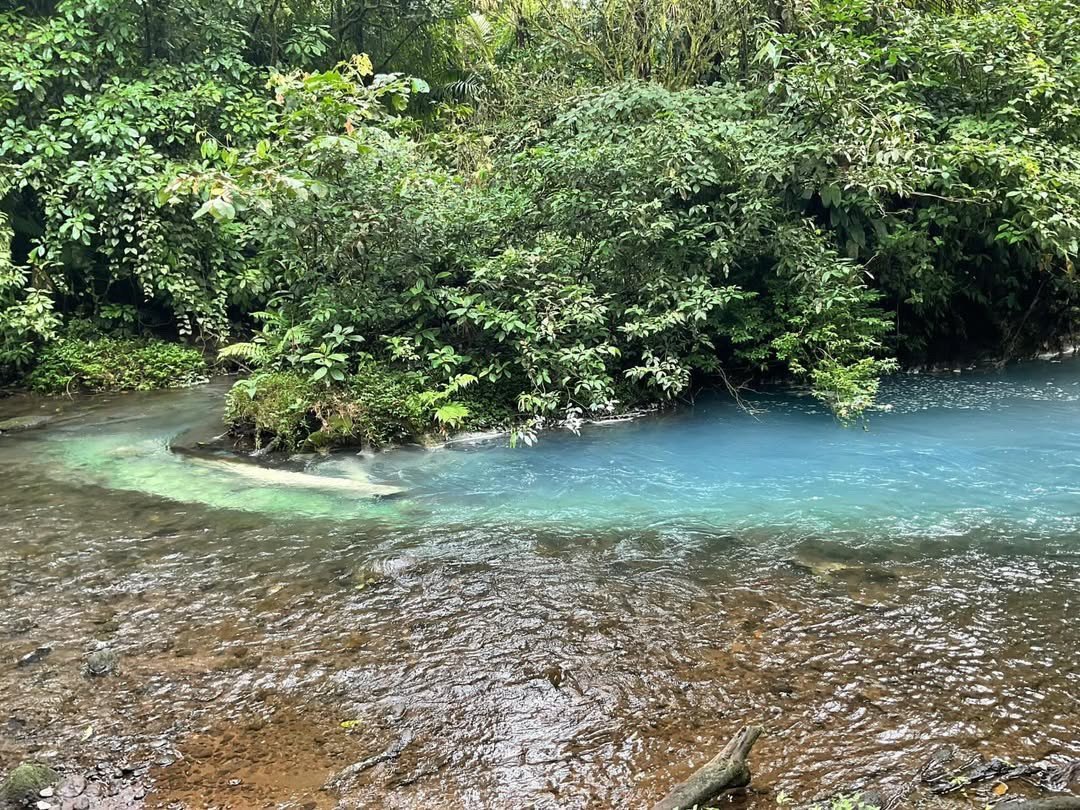 Río Celeste Day Trip (Tenorio Volcano)